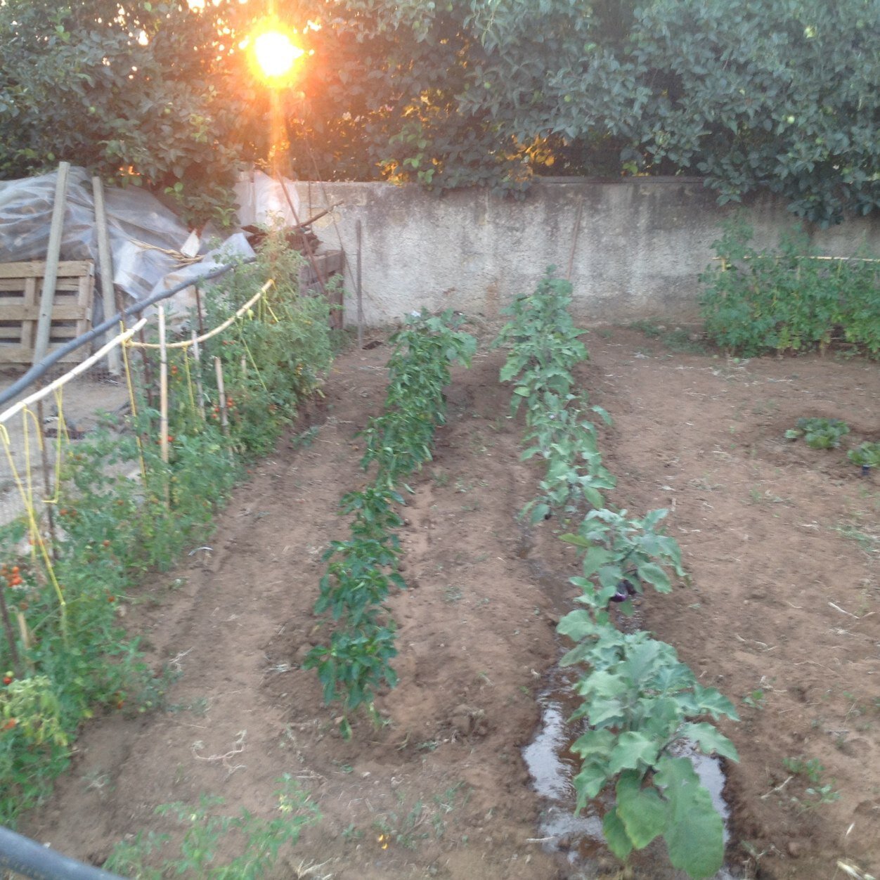 silviospisso's profile picture. Sognatore, ascoltatore, pensatore, nulla da dire.