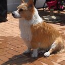 Sally Goode - @Sgoode1805Goode - Twitter