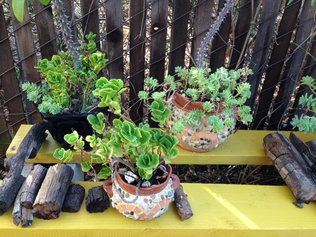 puzzle1225's profile picture. 