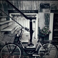 Abby Dalin (@abbydalin) 's Twitter Profile