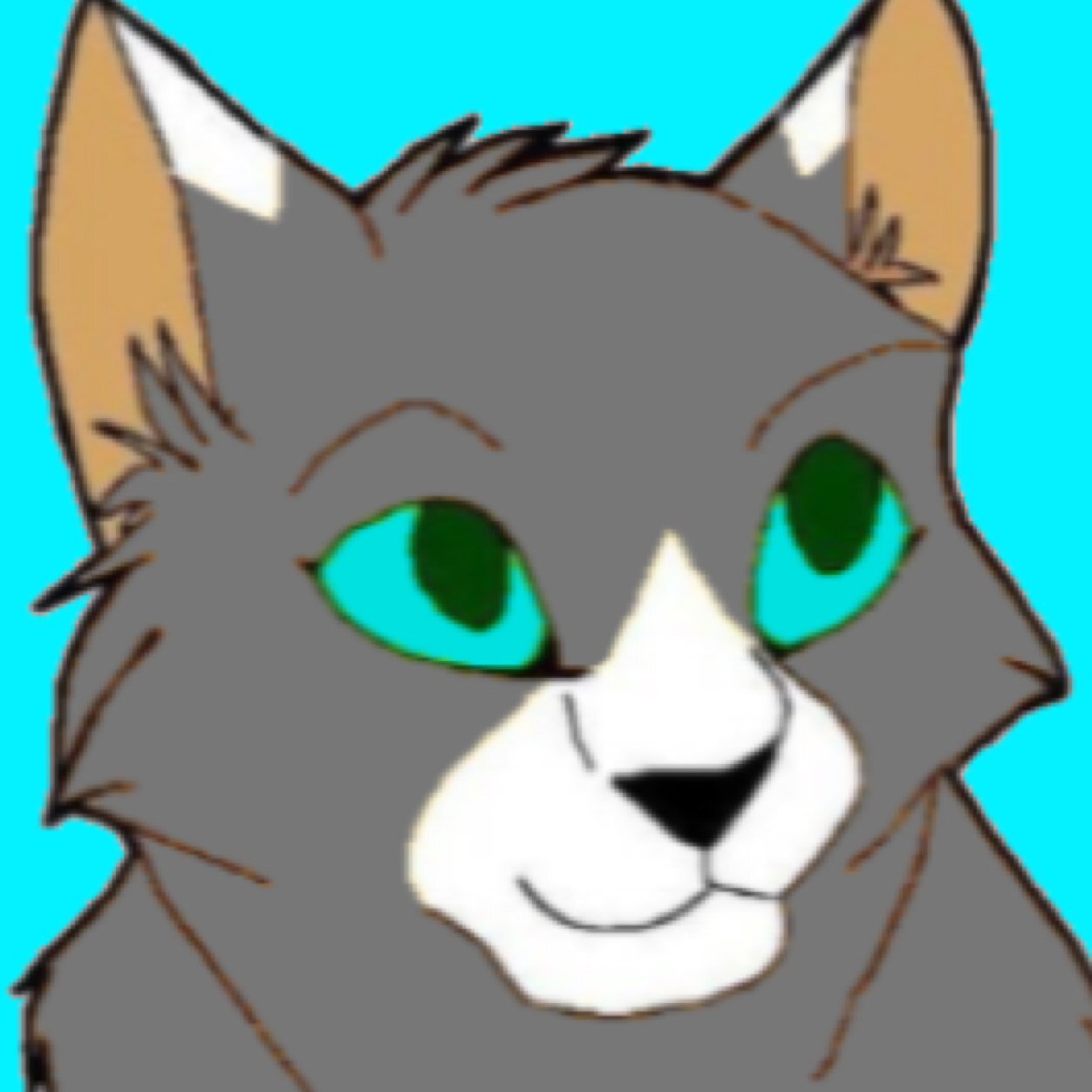 a male gray fur with a bit of white fur and blue eyes mom:@flamepelt dad:@ash_pelt1 demon 7 moons (clan:blizzardclan)(mate:foxpaw) trickster