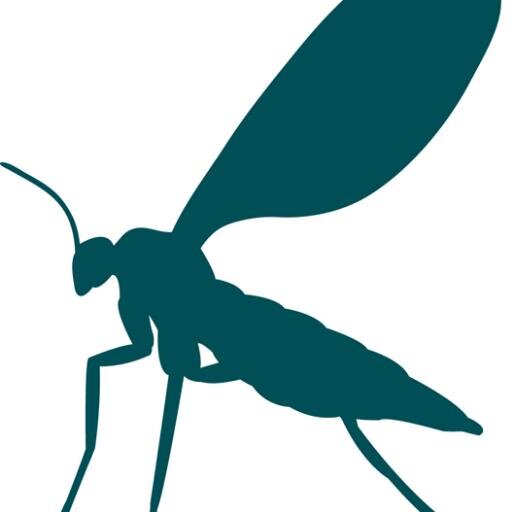 Rede Temática e Fórum de Discussões para Estudos de Diversidade, Sistemática e Biogeografia de Diptera.