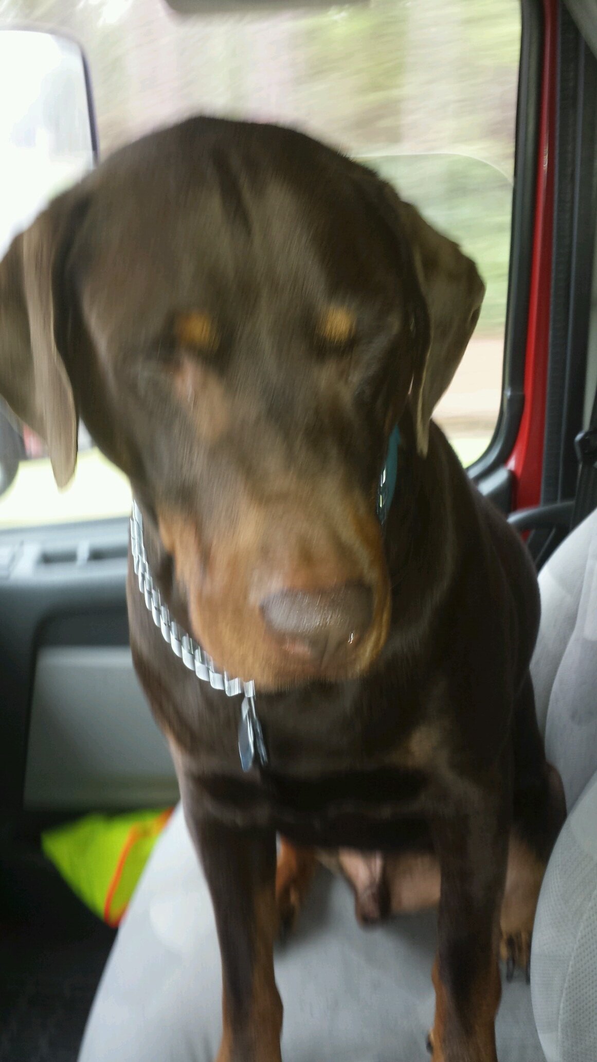 wmedfan's profile picture. 