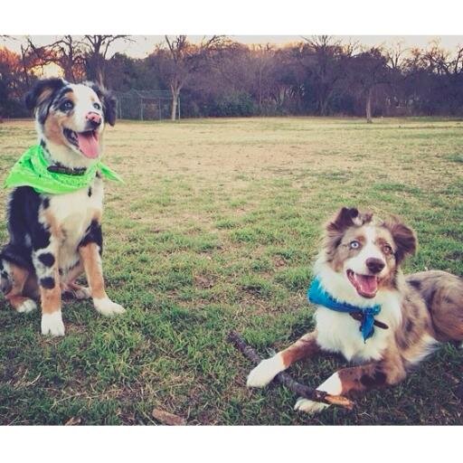 TheRunawayz's profile picture. The most social media involved, meeting skipping, party going family that exists.