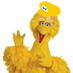 Big Bird (@bigbirdonline) Twitter profile photo Big Bird (@bigbirdonline) Twitter profile photo