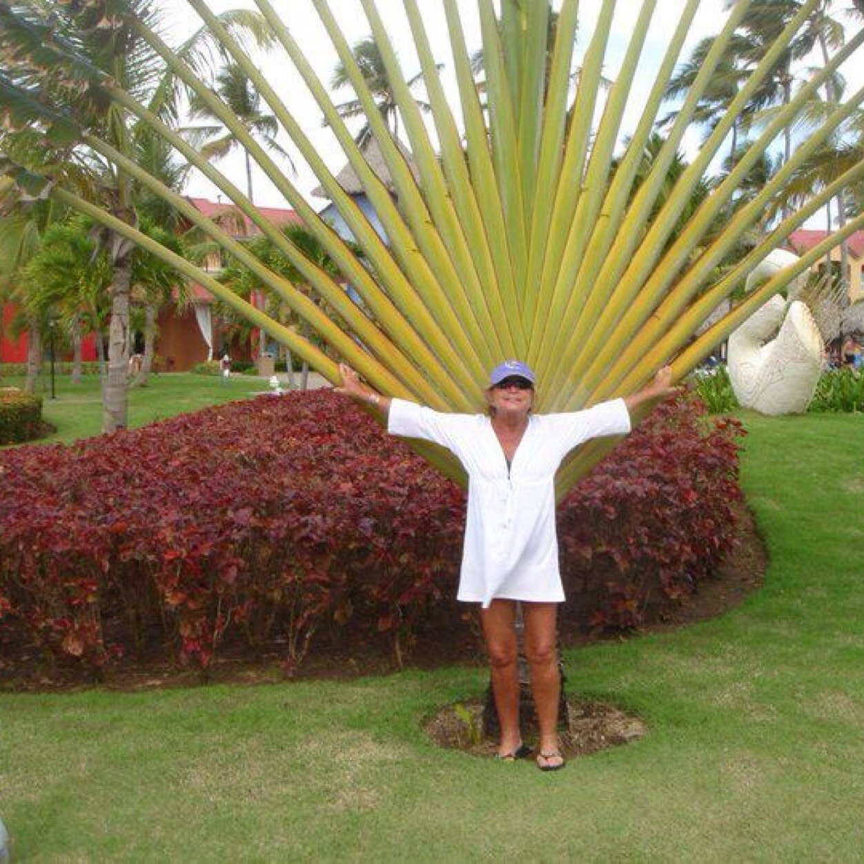 JBDuesing's profile picture. Kurt Busch fan since he was No. 97  - legal asst at law firm