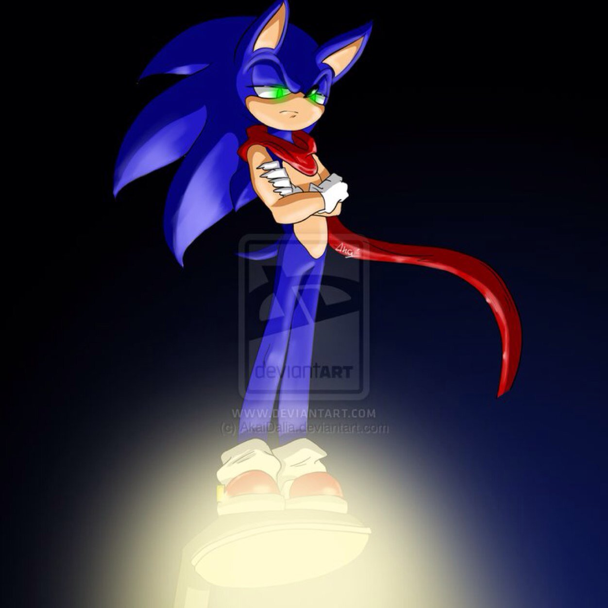 I'm sonic, sonic the vamhog I got bit by a vamphog yeah i am one of them now, if I see you at night I will drink your blood I am loyal to Akai Dalia i'm #single