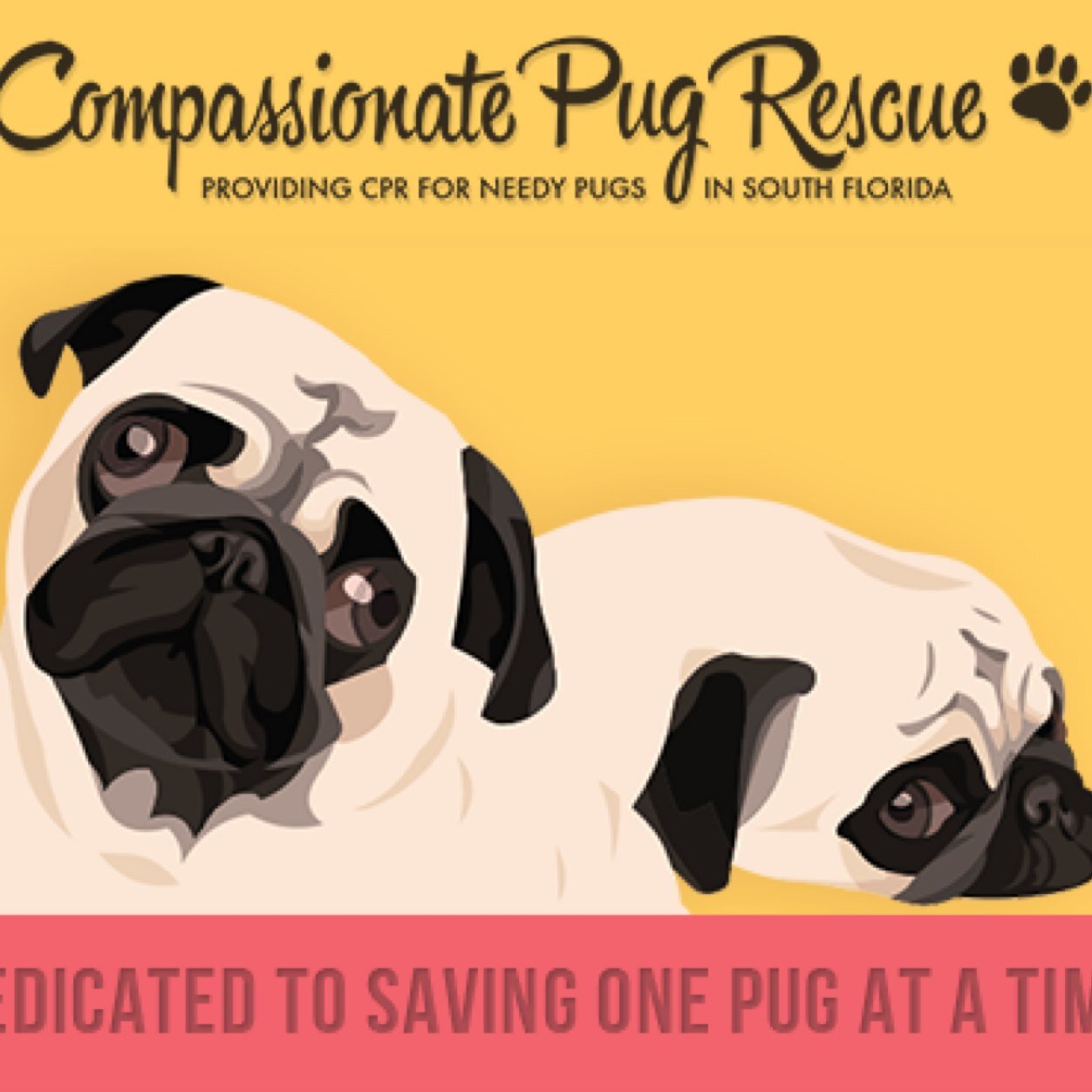 Compassionate Pug Rescue is a 501(c)3 non-profit, volunteer run pug rescue organization