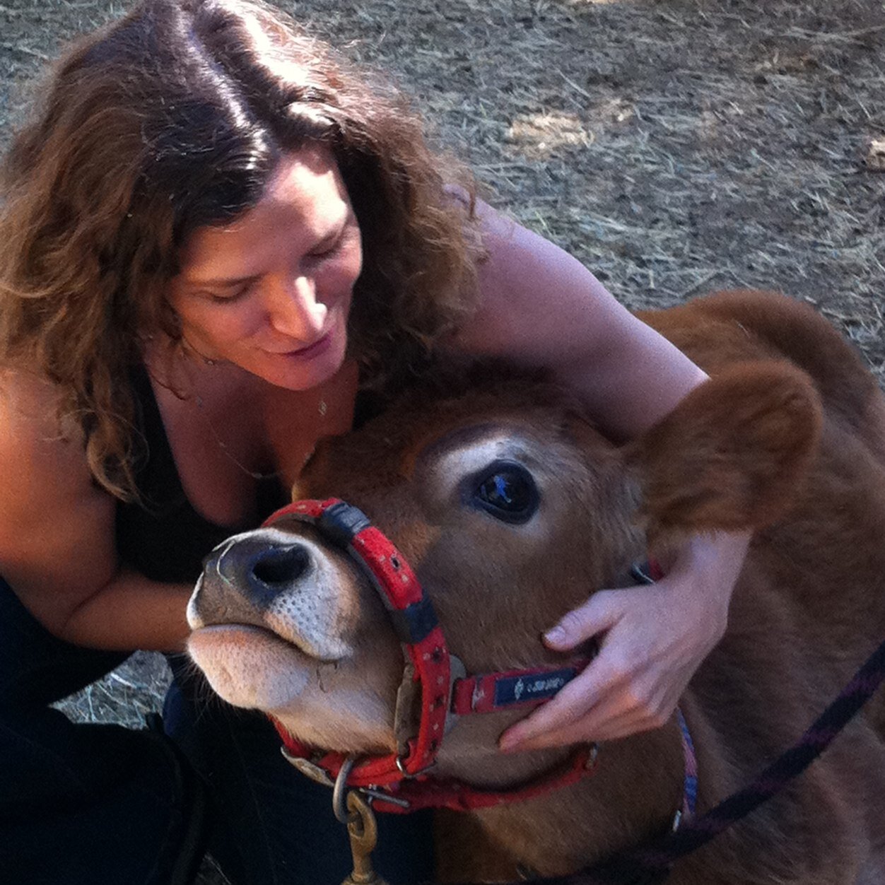 Passionate writer and facilitator infinitely inspired by the beauty of the unexpected.