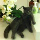 Yew yap - @Yewyap - Twitter