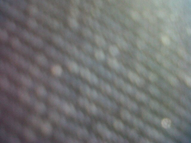 Error77394182's profile picture. 