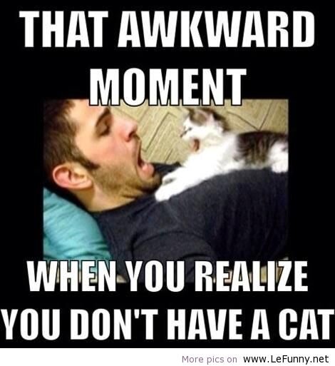 alisonw3456789's profile picture. Every one is weird in their own way,only I am weird in about 9 million. minecraft name: Sky_The_Fluffy_1