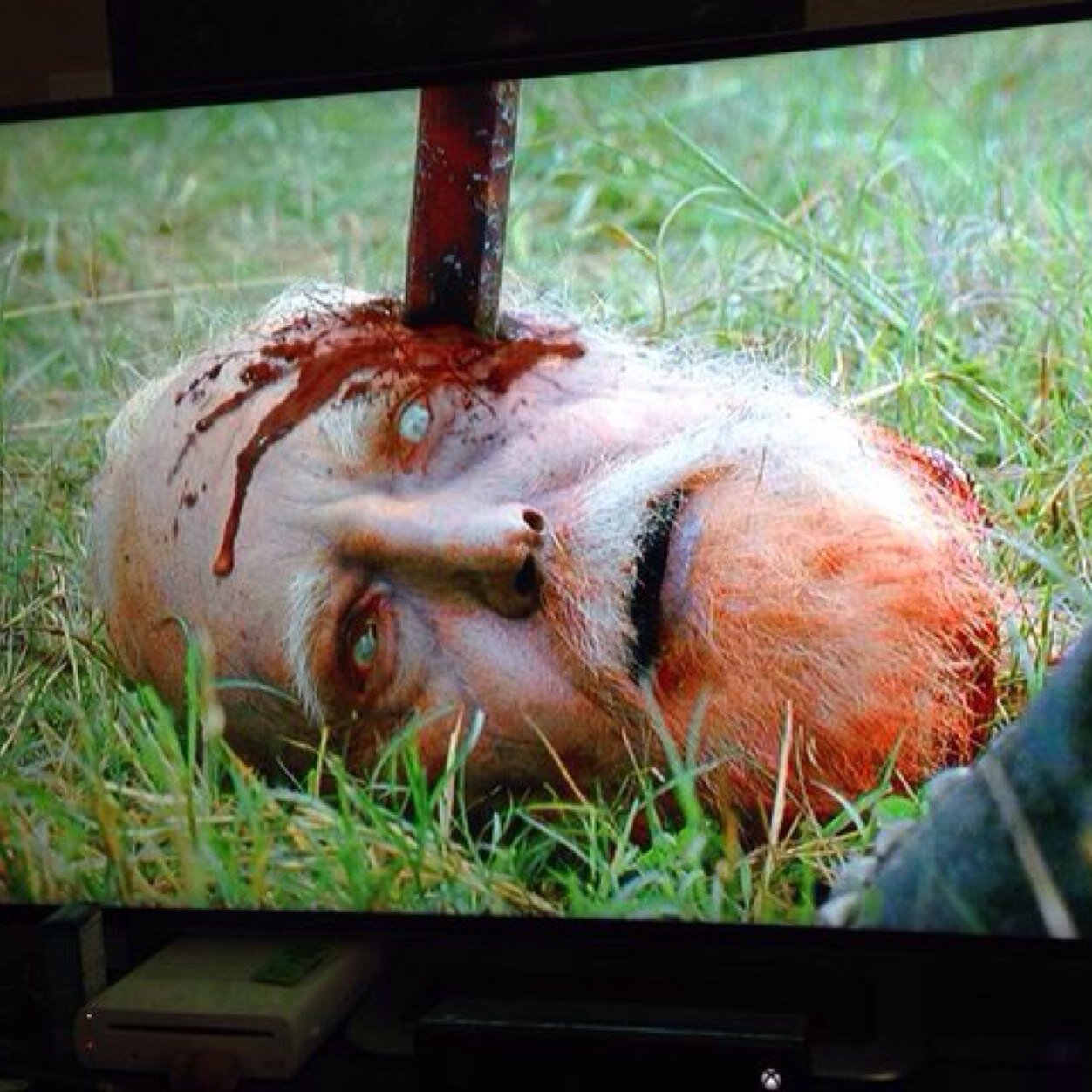 hershelshead's profile picture. somewhere outside the prison