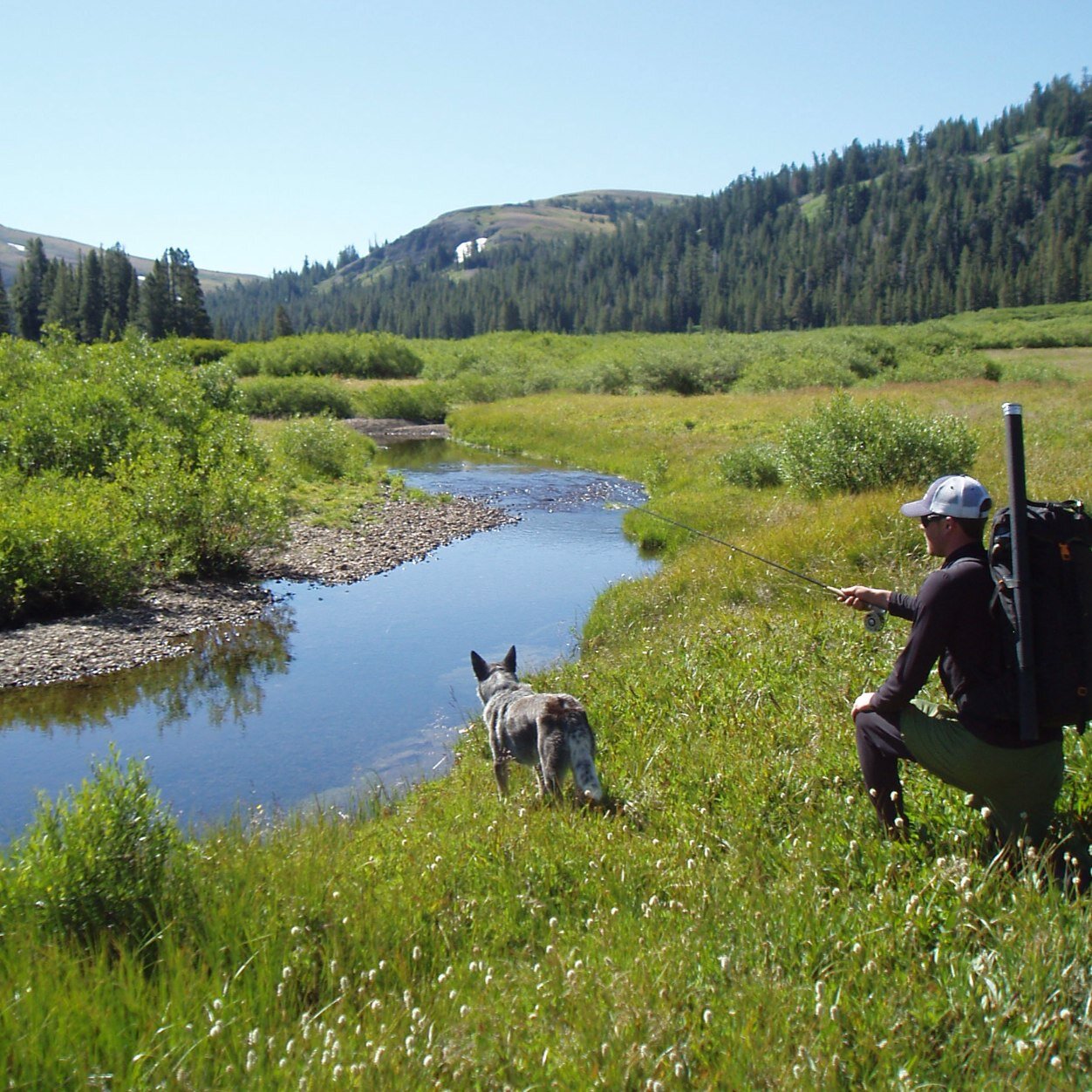 Trout, Trucks and Ducks. Colorado