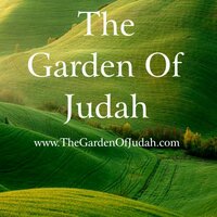 Prince Timothy Judah (@princeherbalist) Twitter profile photo