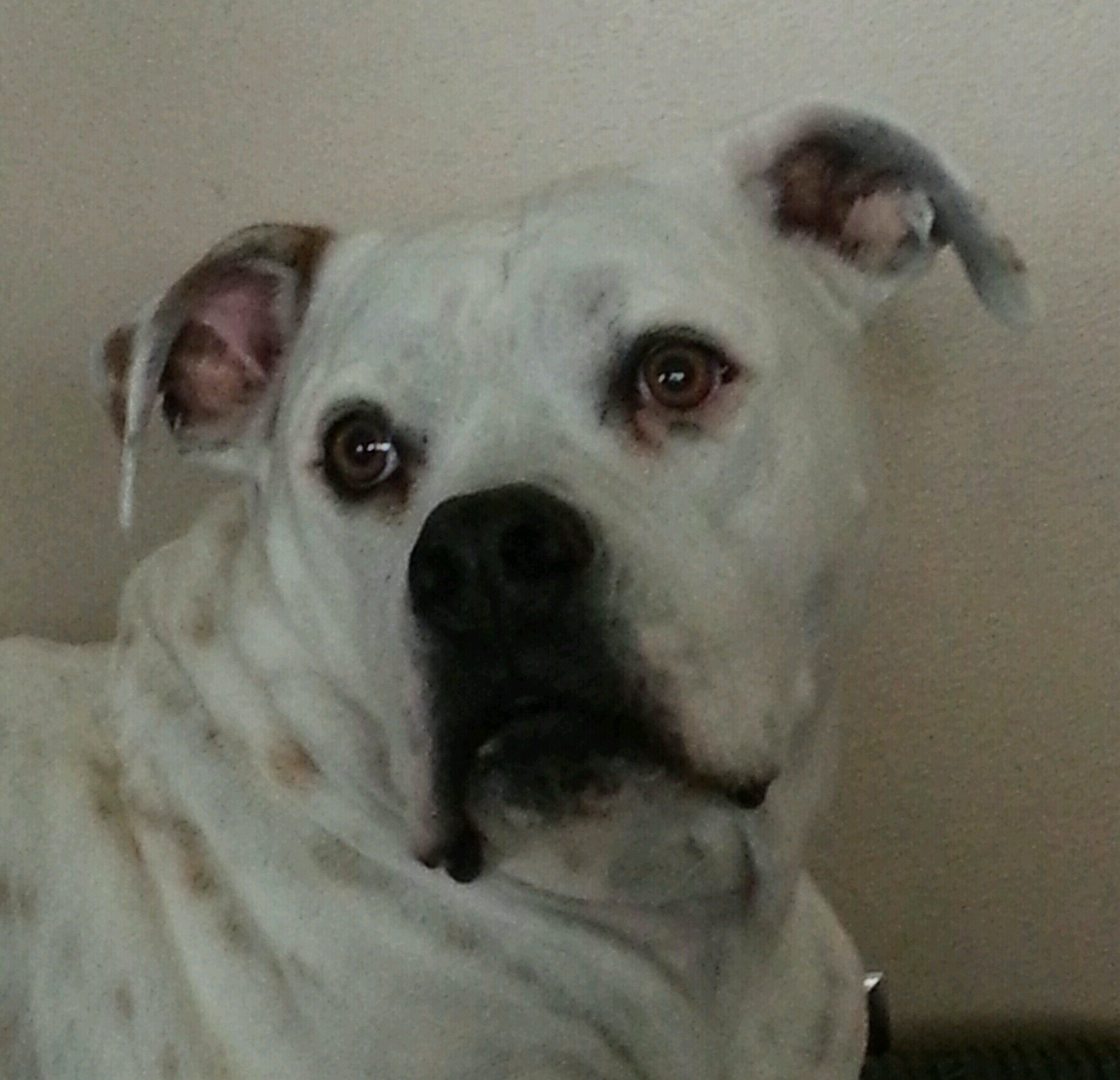 Mego549's profile picture. 