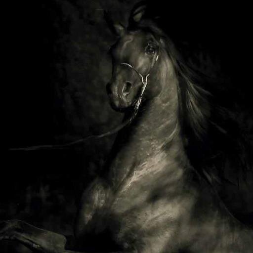 AdrianaEsqueda6's profile picture. 