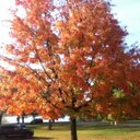 katie harbaugh - @katieharbaugh - Twitter