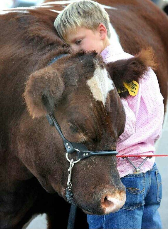 ThatShowLife's profile picture. Every champion was once a contender that refused to give up  ✌  kik: thatshowlife