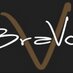 BraVos (@bravosbrookings) Twitter profile photo