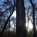 Ginger Bradley - @gingercanyon - Twitter