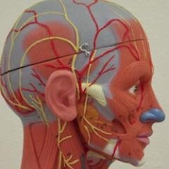 jjohnsonbioprof's profile picture. 