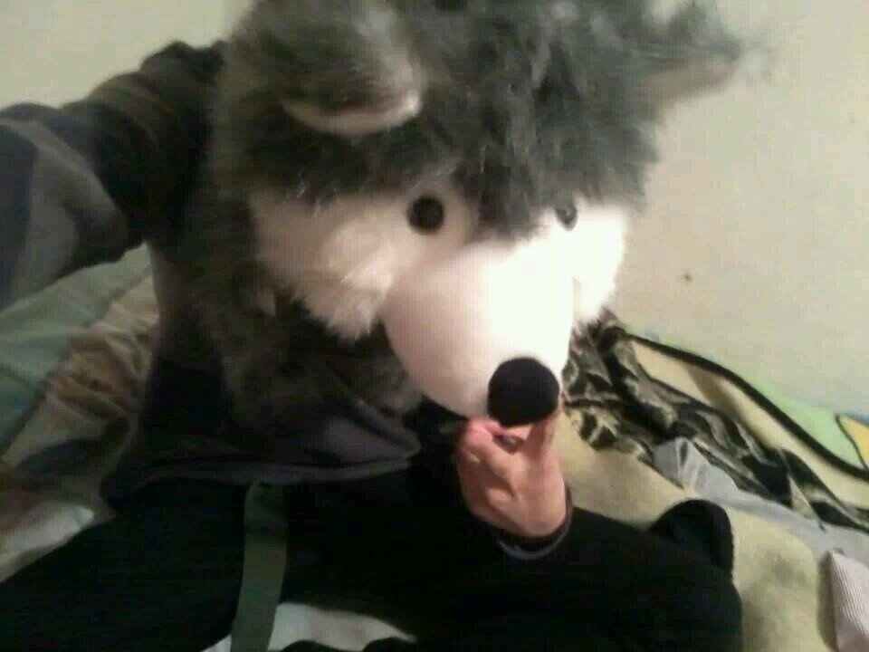 69_julio_'s profile picture. Soy scene, me gustan los chicos, soy amante del core,  me encanta leer, casi no twitteo nada porque no soy muy creativo /u°