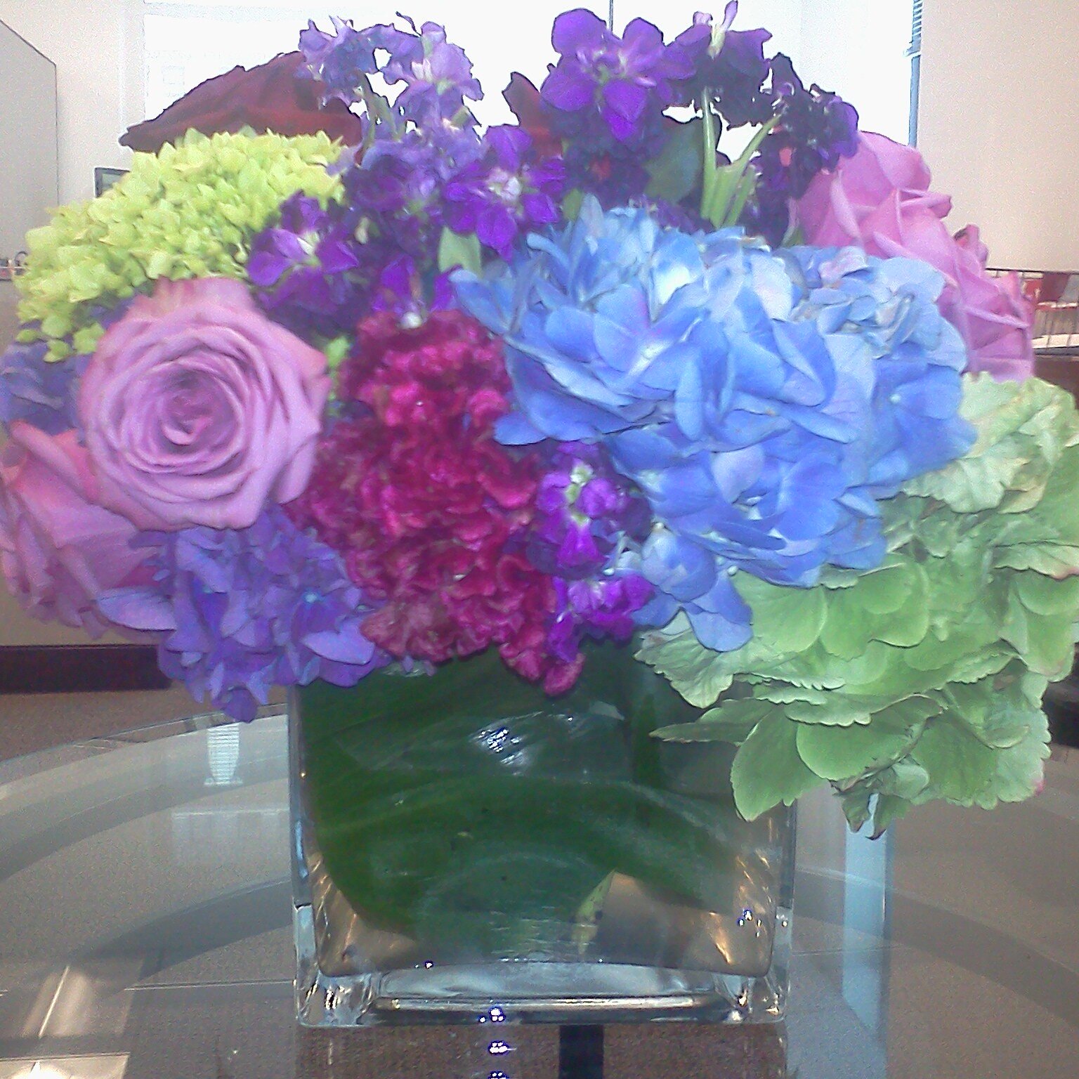 OliviaGNeuf's profile picture. 