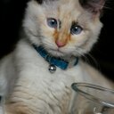 Mary Bessler - @MaryBessler1 - Twitter