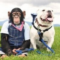 Ben Hsu (@benhsu103) 's Twitter Profile