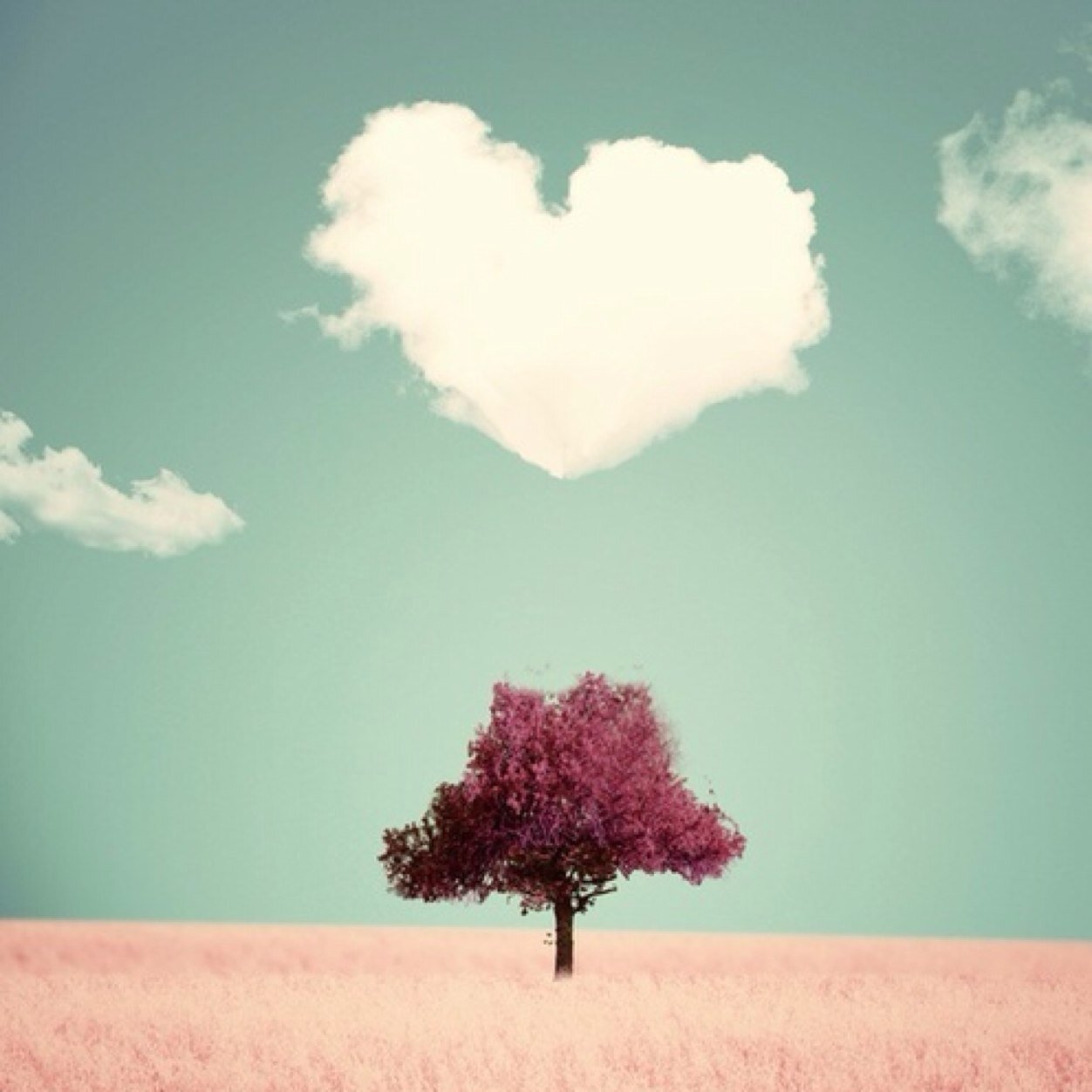 PIacesToSee's profile picture. Pictures of the places we can only imagine!