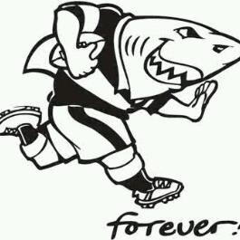 Mikepunt5809's profile picture. 