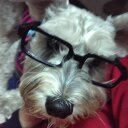 Daisy&Raymond - @meichiray - Twitter