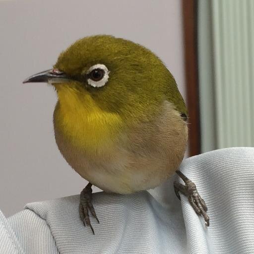誠悟空。「自身の知り得たこと」それを他へ伝えていかなければならないと思う、たとえそのとき先後の判断に迷惑が起るかもしれないそれでも。天地創造神にこそ帰命したいがため己の良心神を取り戻した者と共に。時間は無い。