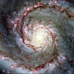 The Fibonacci Sequence tweeted in order every 1-1-2-3-5-8-13-21 hours!