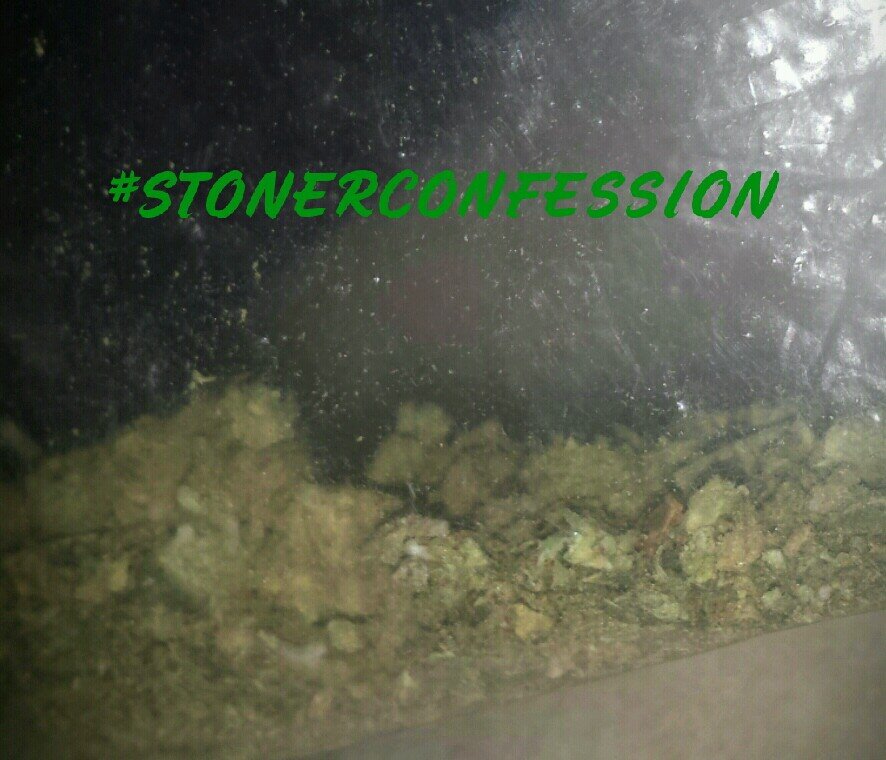 Confession 1: smoke weed everyday
Confession 2: always high
Confession 3: STONED