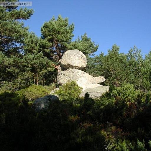 VecinoRascafria's profile picture. Somos un grupo de vecinos de Rascafría-Oteruelo-Los Grifos, progresistas, respetuosos y tolerantes con todas las ideas y organizaciones democráticas.