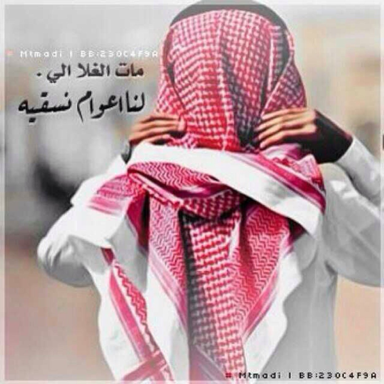 وادي الدواسر