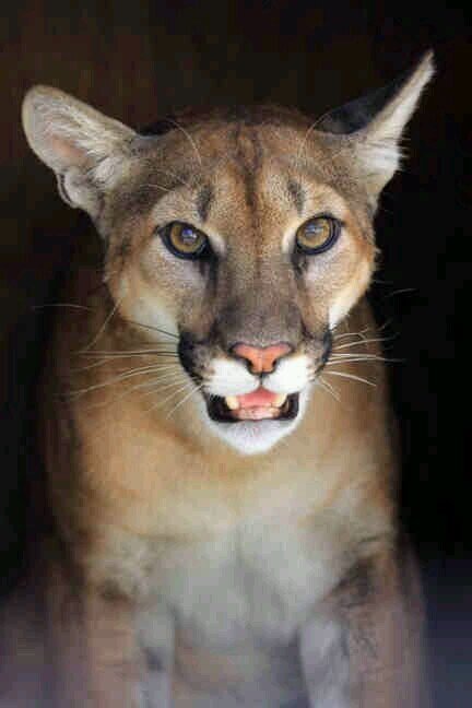 marquismarck's profile picture. Prof de francais et italien