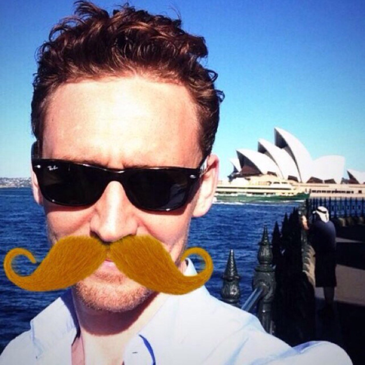 I'm just a moustache trying to make it in the world. I like to be combed thrice daily. ~ Steve -- @twhiddleston ~ Page admin @WellHelloDali