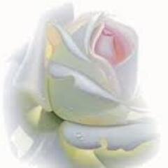 ‏‏‏‏‏‏‏تَفائل بِما تَهوى يَكُن🍃