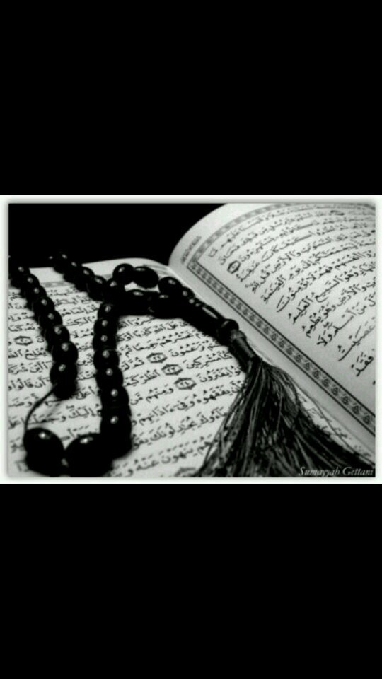 ‏‏‏‏‏‏‏من يتابعني اتابعه انا مااضلم احد وشكرا لمن تابعني   
 واسف لمن تابعني ولم اره