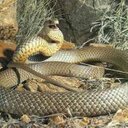 Lynne Doherty - @Darklady60 - Twitter