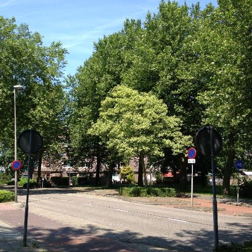Actief in het vrijwilligerswerk oa voorzitter MSV Schiespoor, lid Opgaarden werkgroep, organisator rommelmarkt de Terp