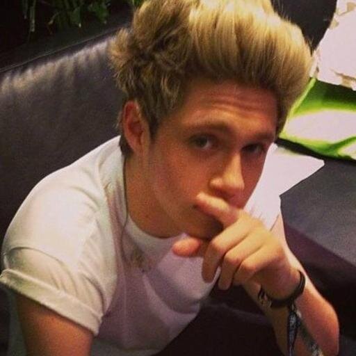 #NiallWeLoveYouIgnoreTheHaters