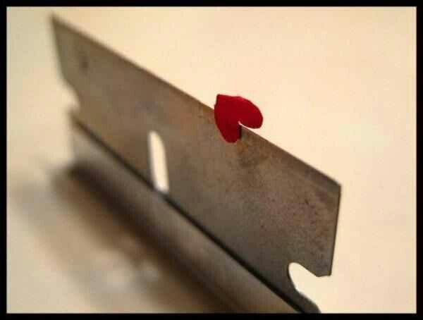 shthahmood123's profile picture. متابعيني بقفل حسابي