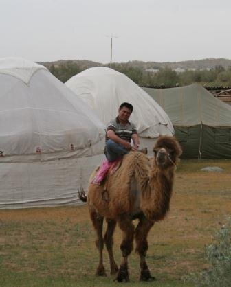 туризм, отдых в Узбекистане, экстрим и джип сафари в  Кызыл-кумах,