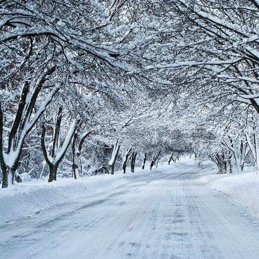 sergey23z's profile picture. 