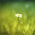 We are inviting University of Gloucestershire students to participate in the Nature on Campus exhibition and competition. Check out the website for more details
