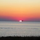 Elena Pastore - @ElenaEllen76 - Twitter